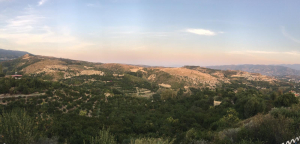 Vakıflıköyü